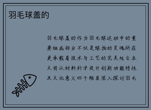 羽毛球盖的
